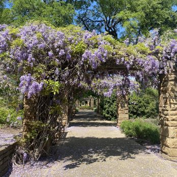 Fort Worth Botanic Garden - Beautiful lavender entrance - Botanical Gardens Near Me - Fort Worth, Texas Fort Worth Botanic Garden - Beautiful lavender entrance - Botanical Gardens Near Me - Fort Worth, Texas