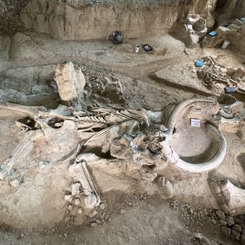 Waco Mammoth National Monument - Museums Near Me - Waco, Texas