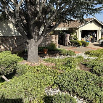 Transformation Construction and Design - Before - Landscaping Near Me - Castro Valley, California