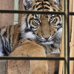 Zoo Heidelberg