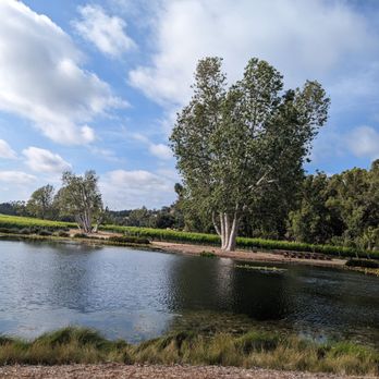 Monserate Winery - What you look out to while you're sitting eating or drinking. - Wineries Near Me - Fallbrook, California Monserate Winery - What you look out to while you're sitting eating or drinking. - Wineries Near Me - Fallbrook, California