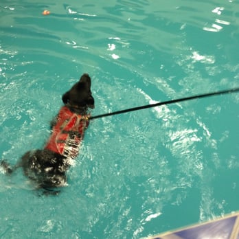 Pet Depot - Pet Training Near Me - Timonium, Maryland