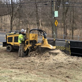 Northeast Tree Services - Tree Services Near Me - Stratford, Connecticut