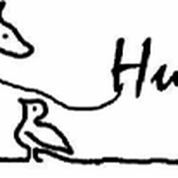 Hundeauslaufservice Pascal Schlag