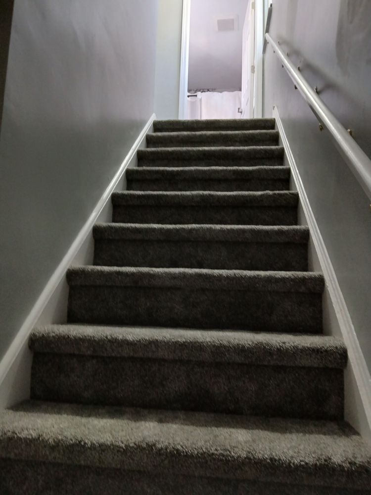 Slide of Cone Restoration