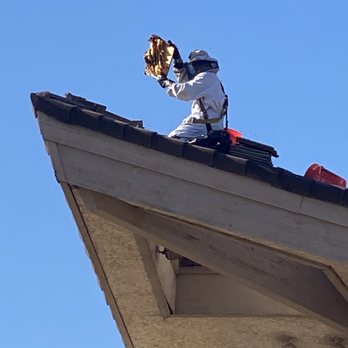 Kyle's Bee Removal - Removing part of the hive. - Pest Control Near Me - Phoenix, Arizona