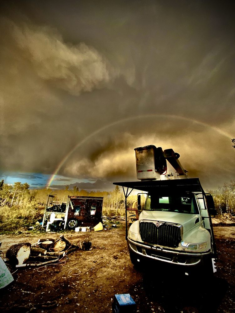 BEST PRICE TREE SERVICES Updated June 2024 33 Photos Ponoka