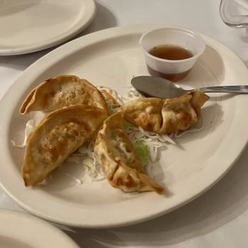 Rama Thai - Fried Pot Stickers - Thai Near Me - Springfield, Missouri