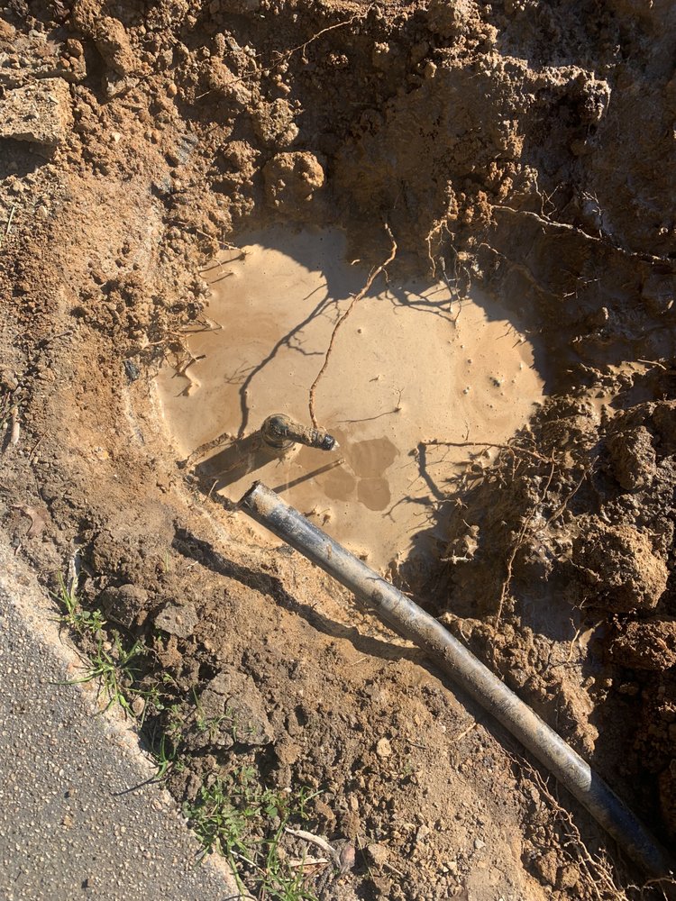 All Backyard Pro - tree service in Sacramento, CA