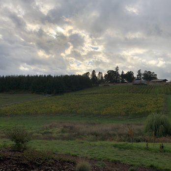 Domaine Divio - Wine Tasting Room Near Me - Newberg, Oregon