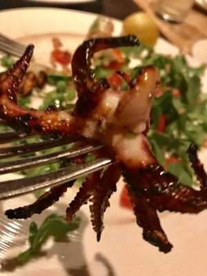 Siena Ristorante Stamford by null