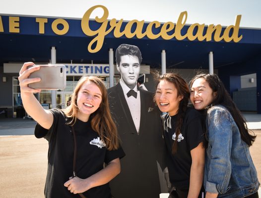 Graceland by null