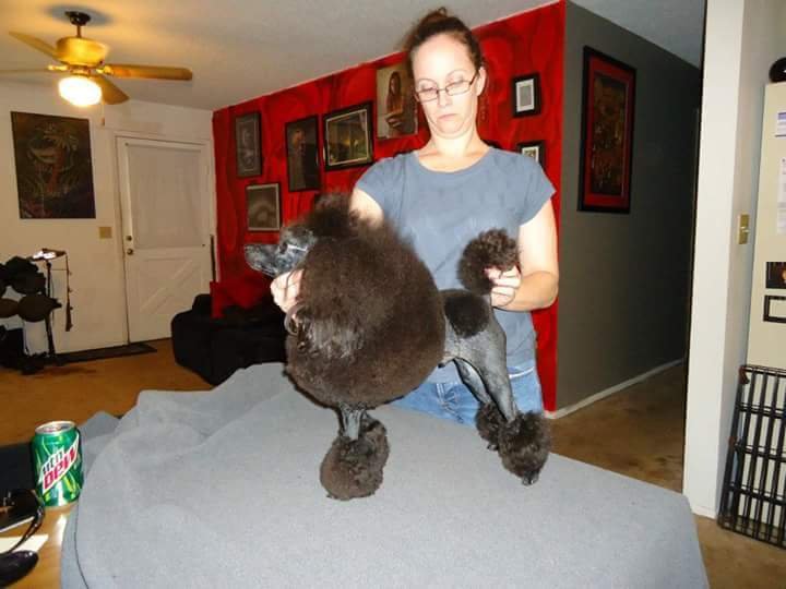 Grooming by Londa Image