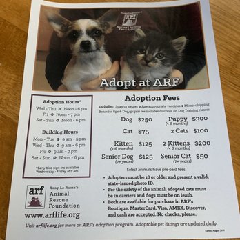 Joybound - Adoption fees - Animal Shelters Near Me - Walnut Creek, California