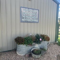 Greenhorn Horse Hotel
