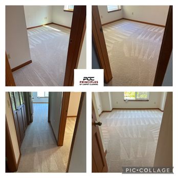 Principles Pro Services  - Steam carpet cleaning - Carpet Cleaning Near Me