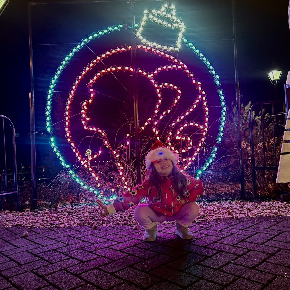 Magic of Lights - New Jersey - Festivals Near Me - Holmdel, New Jersey Magic of Lights - New Jersey - Festivals Near Me - Holmdel, New Jersey