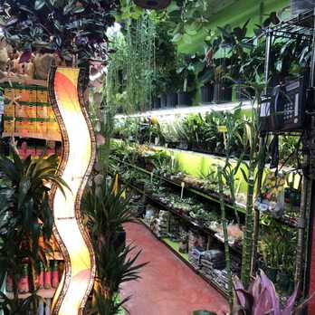 Mushtari Hardware and Garden - Hardware Stores Near Me - New York, New York