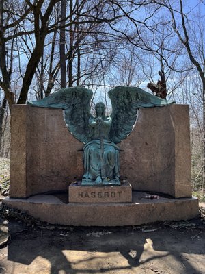 The Haserot Angel by null