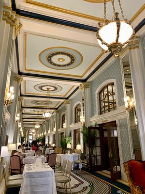 Willard Peacock Alley Tea by null