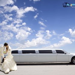 Unlimited Charters - Wedding Limo's and Classic cars are a Wedding must!