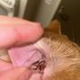Photo of Rosemead Animal Hospital
