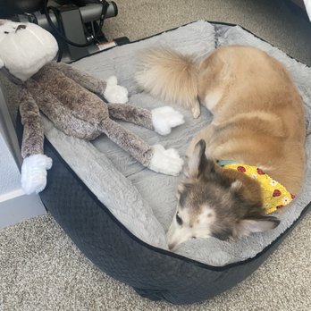 A Bath and a Biscuit - Pet Groomers Near Me - Vancouver, Washington