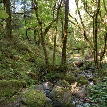 Taylor Creek Lodge - A view from the trail on the property. - Bed & Breakfast Near Me - Gold Beach, Oregon Taylor Creek Lodge - A view from the trail on the property. - Bed & Breakfast Near Me - Gold Beach, Oregon