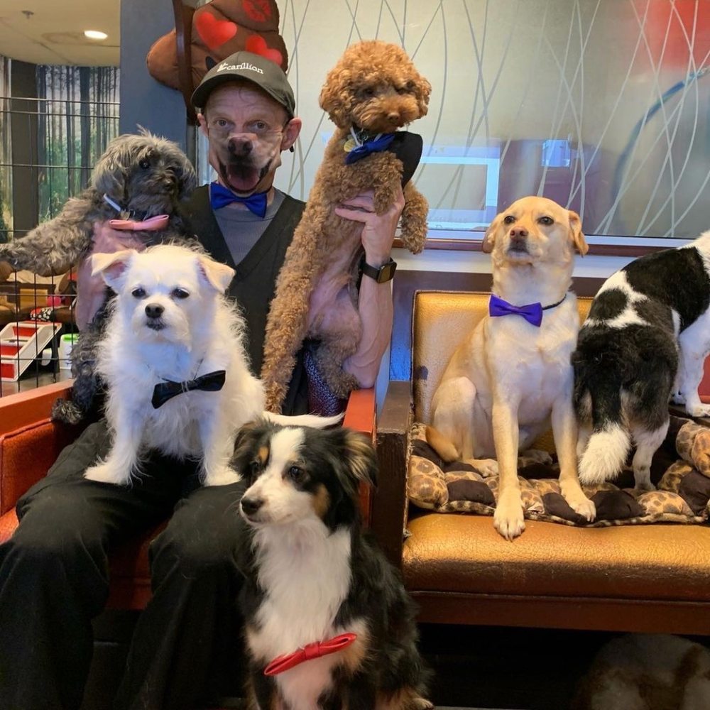 PIPSQUEAK PUPS Updated April 2024 32 Photos 2612083 Alma Street, Vancouver, British PIPSQUEAK PUPS Updated April 2024 32 Photos 2612083 Alma Street, Vancouver, British