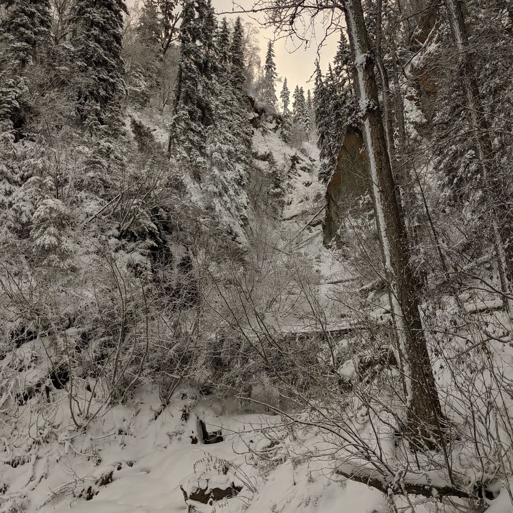 Pioneer Falls - Going up - Hiking Near Me - Palmer, Alaska