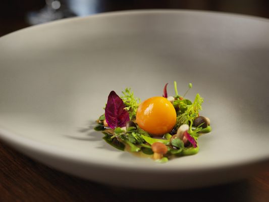 Ecco St. Moritz by null