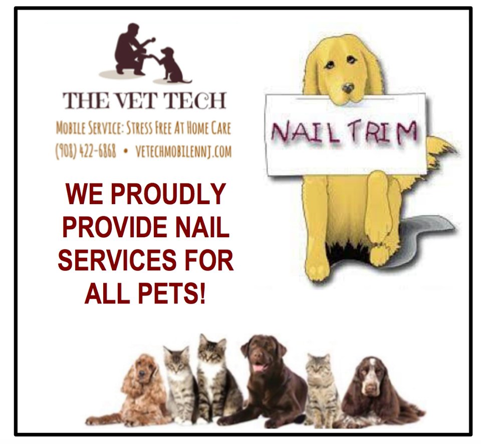 THE VET TECH OF NORTHERN NJ 10 Photos Colfax Ave, Pompton Lakes