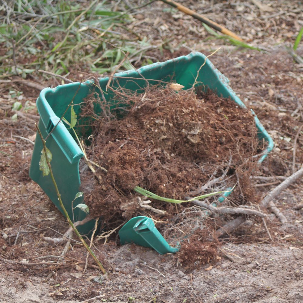 Big Mike's Tree Service - Tree Services Near Me - Casselberry, Florida