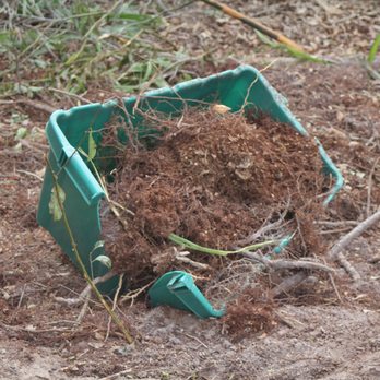 Big Mike's Tree Service - Tree Services Near Me - Casselberry, Florida Big Mike's Tree Service - Tree Services Near Me - Casselberry, Florida