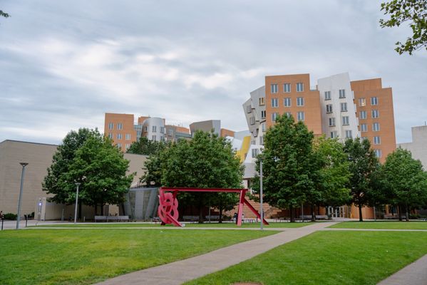 Massachusetts Institute of Technology by null