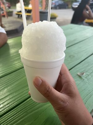 Armadillo Snow Cones by null