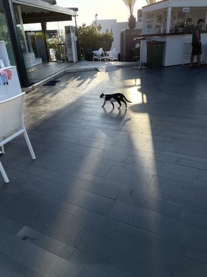 Yalıkavak Marina by null