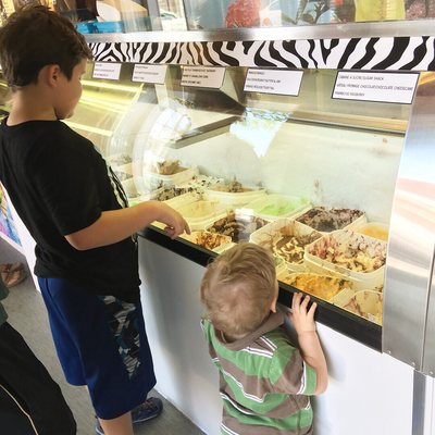 Wild Willy’s Ice Cream by null