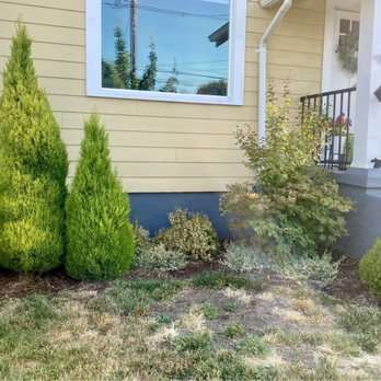 Rueda Landscape - Before: Overgrown and messy bushes - Landscaping Near Me