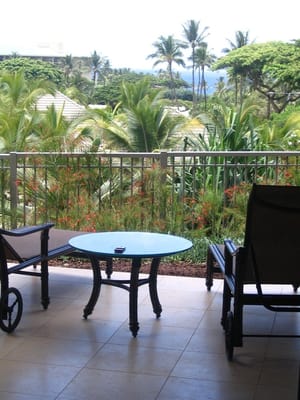 Ho olei at Grand Wailea by null