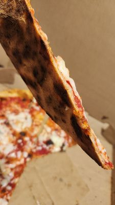 Speak Cheezy by null