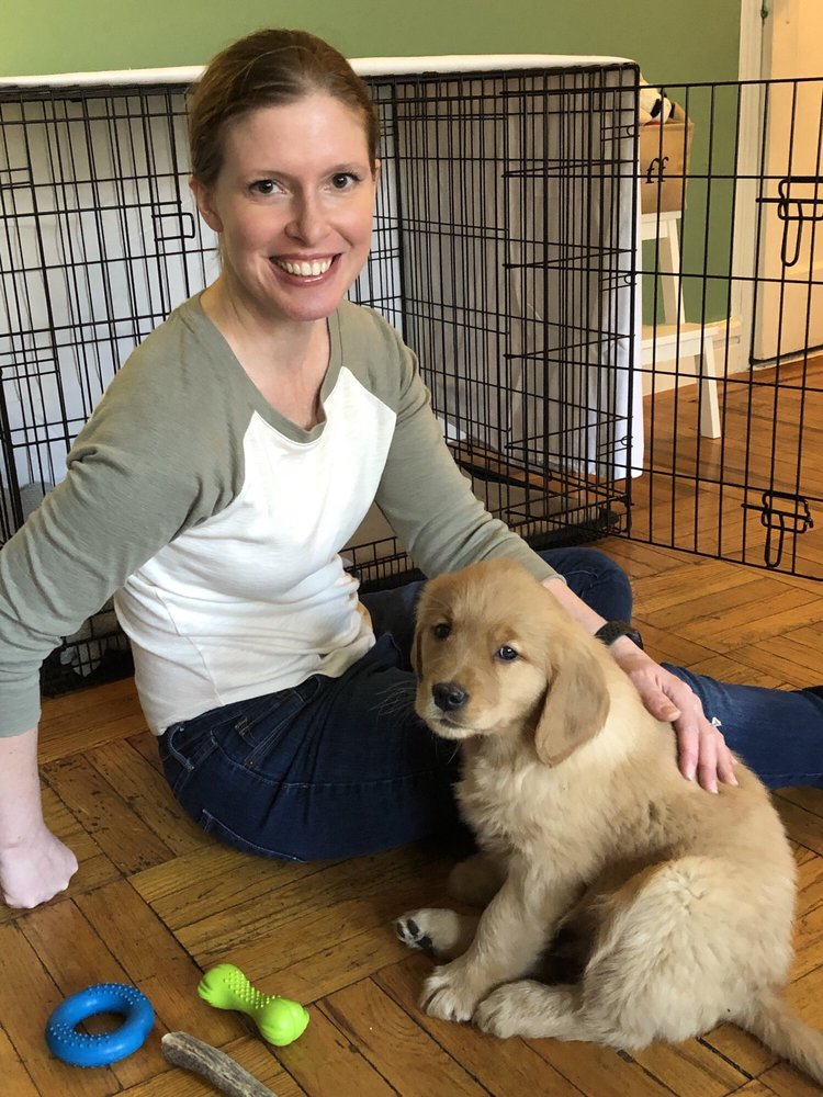 BARK BUSTERS HOME DOG TRAINING MANHATTAN Updated May 2024 24 Photos