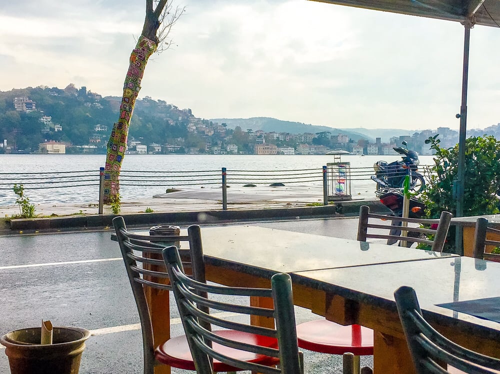 KALE CAFE & RESTAURANT Updated August 2024 63 Photos & 42 Reviews