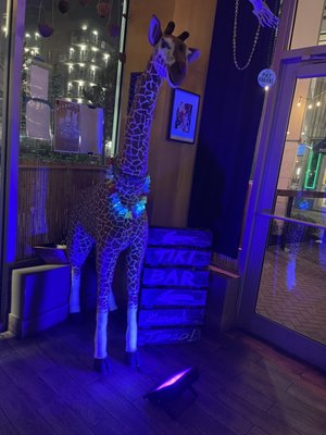 Rockaway Tiki Bar by null