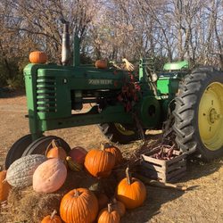 Knapton's - Raspberries Pumpkins & Orchard - Tractor and friends