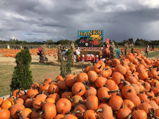 Hank's Pumpkintown by null
