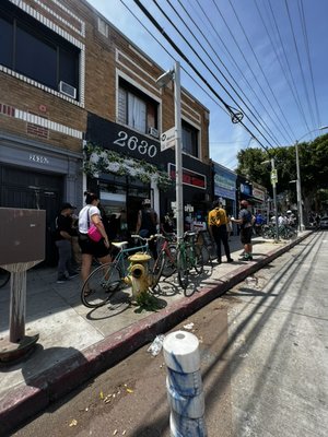 Café Girasol by null