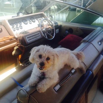 First Class Yacht Sales - THE REAL BOSS!!!! - Boat Repair Near Me - Stockton, California First Class Yacht Sales - THE REAL BOSS!!!! - Boat Repair Near Me - Stockton, California