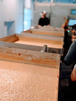 Fierce Whiskers Distillery by null