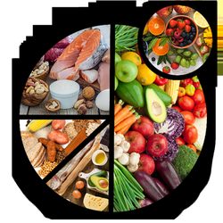 Fit Lizzy's - food plate
